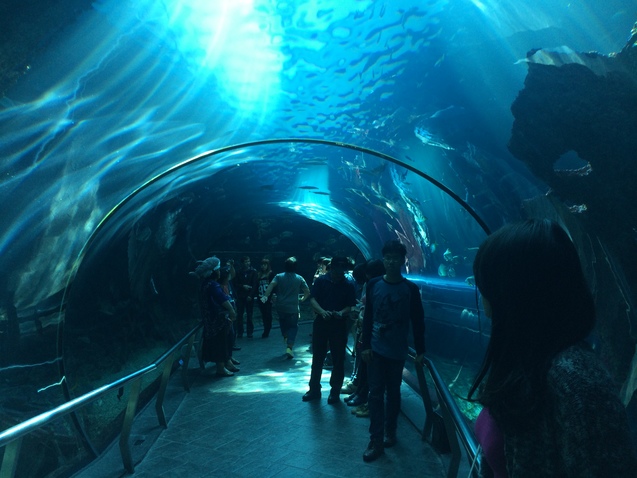 Тайвань, Ocean Park