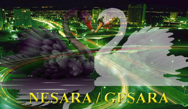 08 червня 2020 року<br />
Джеймс Рінк<br />
Нотатки про GESARA 1/1