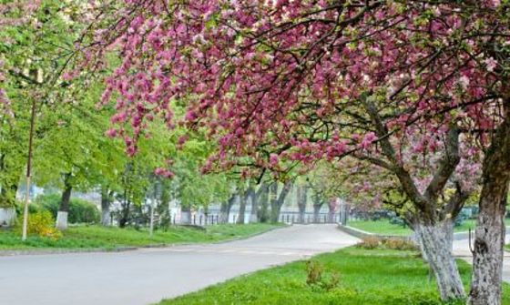 Закарпатська область, Україна