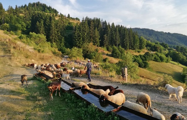 Болгарія: недооцінена перлина Балкан, яка здивує навіть досвідчених мандрівників 1/1