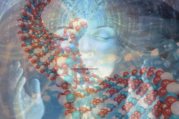 14 листопада 2018 року<br />
Магда<br />
Потік з кодів Світла 1/1