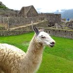 Мачу Пікчу, Анди, Перу, мандрівка, фото
