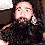 Cat Bearding (фото)