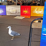 МІСТО, ЩО ДАРУЄ КРИЛА 9/34 МІСТО, ЩО ДАРУЄ КРИЛА 9/34