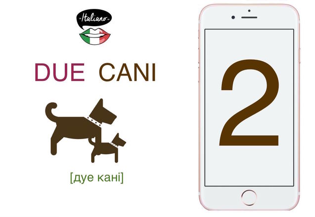два, собака, італійська