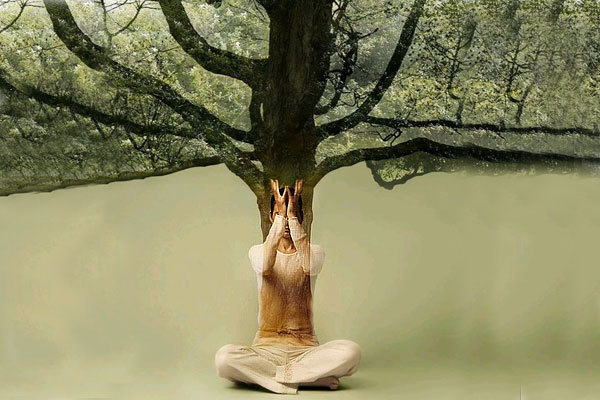 08 лютого 2019 року<br />
Послання Синхронів<br />
Обнулення фальшивих Контрактів забезпечення і зцілення фінансів<br />
Ченнелінг 1/1