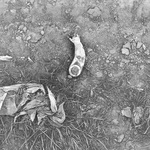 IX. КРИК / KRZYK 17/16