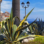 МІСТО, ЩО ДАРУЄ КРИЛА 13/34 МІСТО, ЩО ДАРУЄ КРИЛА 13/34