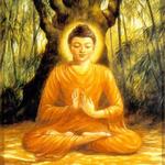 День народження Будди 1 травня