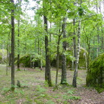 Камінне село, Житомирська область