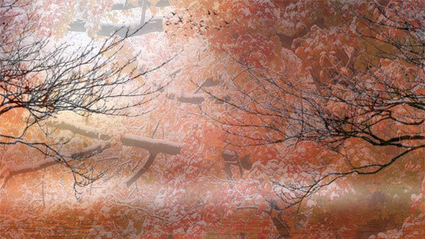 Енергії грудня 2018 року 1/1