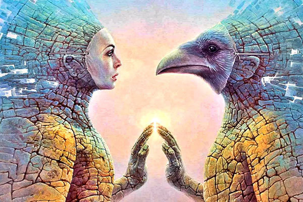 24 січня 2019 року<br />
Фрагменти послань Девіда Вілкока і Майка Квінсі 1/1