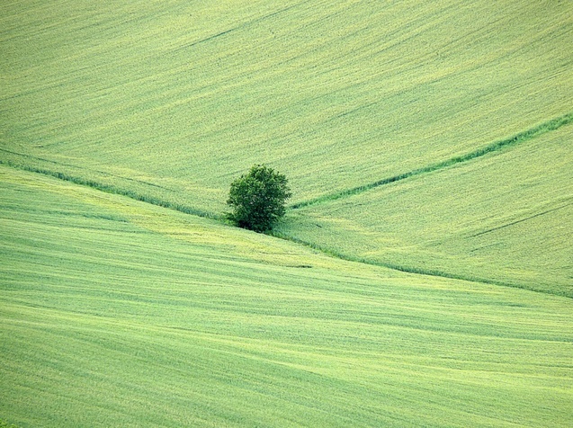 Фото природи відомих фотографів 1/1