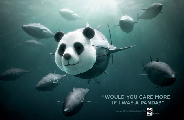 захист тунця - соціальна реклама