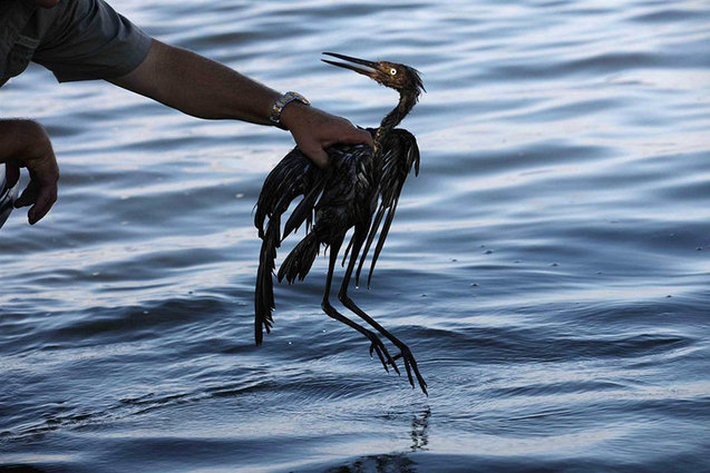 розливи нафти в океанах