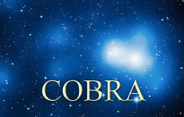 18 серпня 2019 року<br />
Кобра<br />
Великий Хрест 1/1