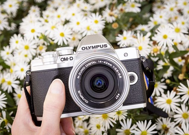 Як обрати камеру 2025 року: простий гайд для початківців і креаторів 1/1