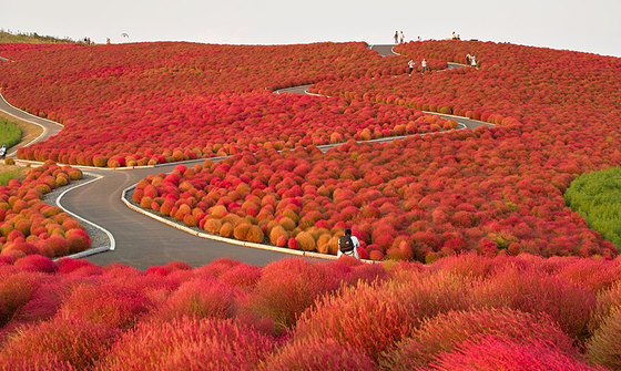 Японія, осінь (фото)