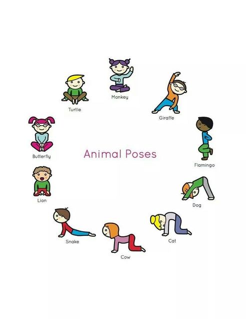 Animal Poses