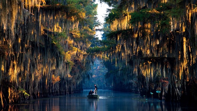 озеро Кадді в Техасі з кипарисами