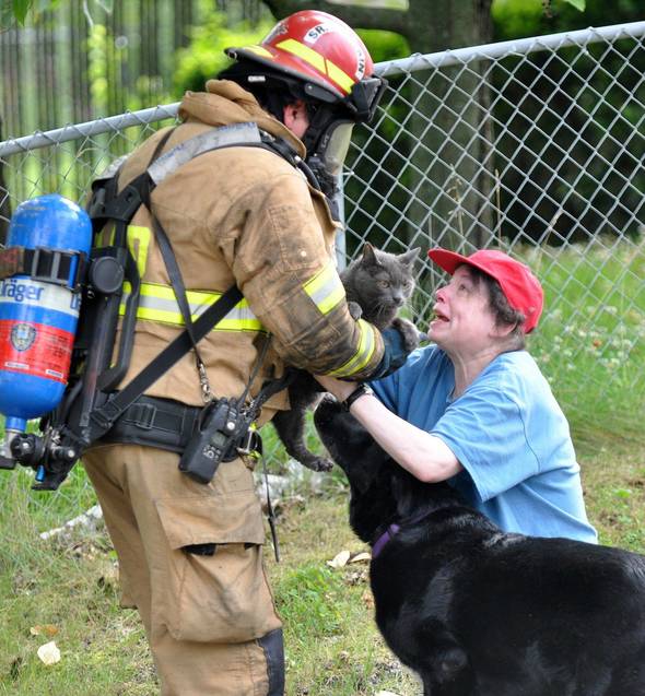 пожежник врятував кота