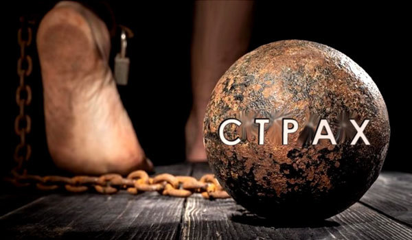 30 жовтня 2020 року<br />
Юлія Софілканич<br />
Вібраційний прогноз на листопад 2020 1/1