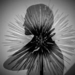 IX. КРИК / KRZYK 11/16