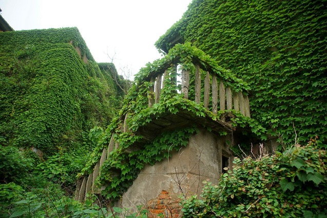 зелене місто-привид, Китай (фото)