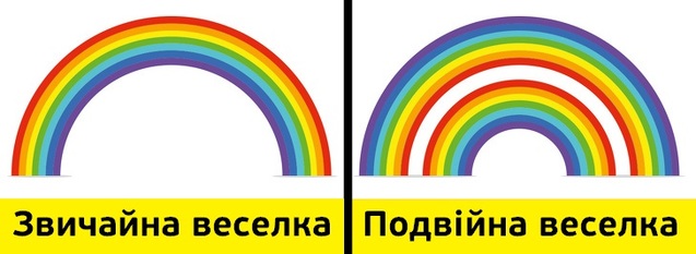 13 фактів про все на світі, про які ви не знали ще сьогодні вранці 1/1