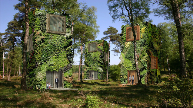 зелені будинки