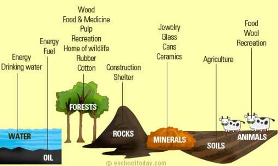 Types of natural. Types of natural resources. What is natural resource. Natural resources are. Природные ресурсы на английском.