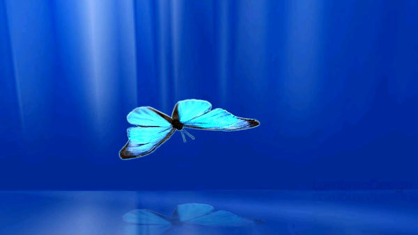 ​Сонячне затемнення<br />
 02 липня 2019 року 1/1