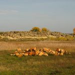 Кам’яна могила  (Запорізька обл.), фото