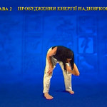 Підготовчий комплекс Тенсьогріті (Tensegrity) 2/7