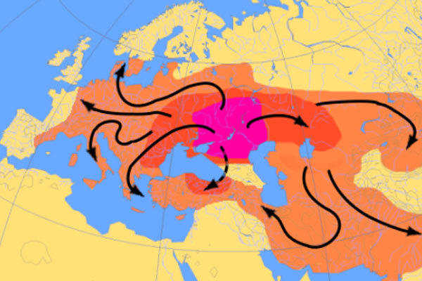 Девід Вілкок<br />
Кобра. Історія в процесі.<br />
Частина четверта. Галактичний Кодекс 1/1