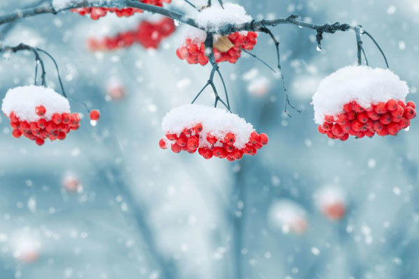 Енергії січня 2019 року 1/1