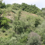 Лиса гора (фото)