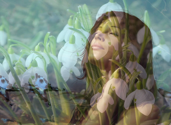 Мирослав Дочинець.<br />
Твоє місце 1/1