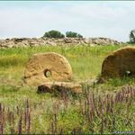 Кам’яна могила, Україна