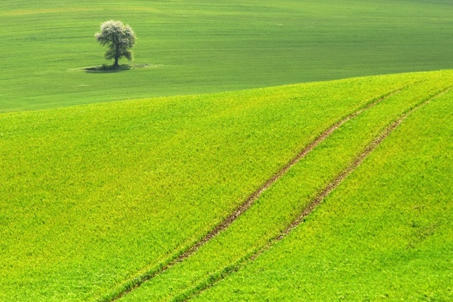 Проект Terra Galicia Юрія Дячишина: новий погляд на красу Галичини 1/1