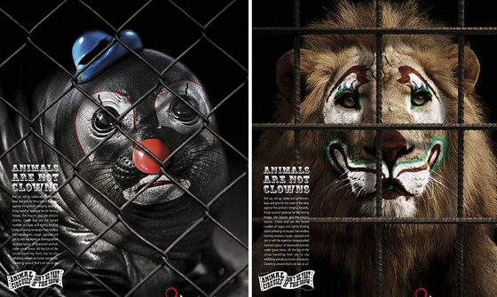 Тварини не клоуни - соціальна реклама