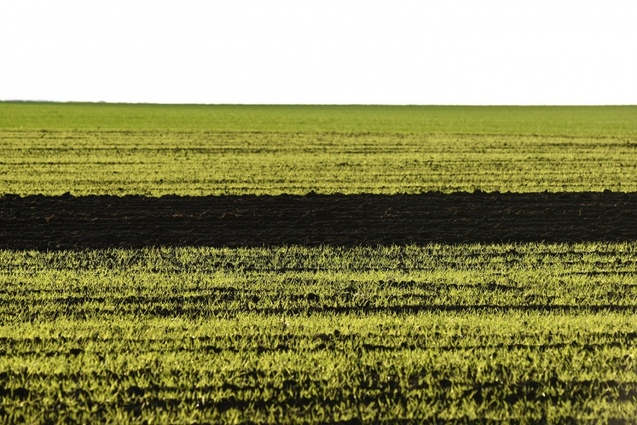Проект Terra Galicia Юрія Дячишина: новий погляд на красу Галичини 1/1