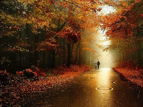 Мирослав Дочинець.<br />
Твоє місце 1/1