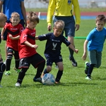 В Білій Церкві відбувся перший український футбольний турнір для дошкільнят 5/18