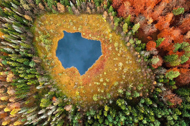 Фото, зроблені восени 1/1