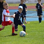В Білій Церкві відбувся перший український футбольний турнір для дошкільнят 3/18
