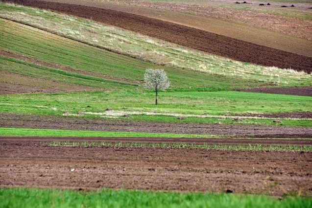 Проект Terra Galicia Юрія Дячишина: новий погляд на красу Галичини 1/1