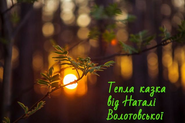 Наталя Волотовська. Казка Світло для рідної людини 1/1