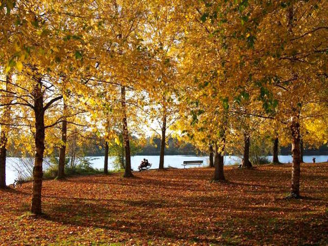 Green Lake Park