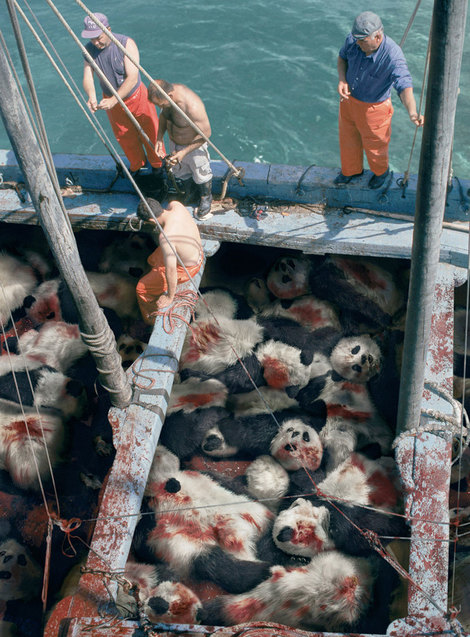 Природоохоронна організація «Морський пастух»: Коли бачиш тунця, уявляй, що це панда, Ogilvy & Mather, Сингапур